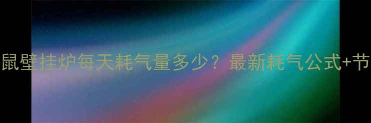 18kw小松鼠壁挂炉每天耗气量多少最新耗气公式节能技巧全
