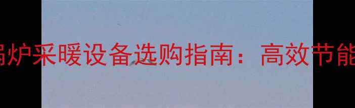 200平全屋液化气锅炉采暖设备选购指南高效节能方案安装维护全