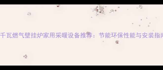 图片 20千瓦燃气壁挂炉家用采暖设备推荐：节能环保性能与安装指南2