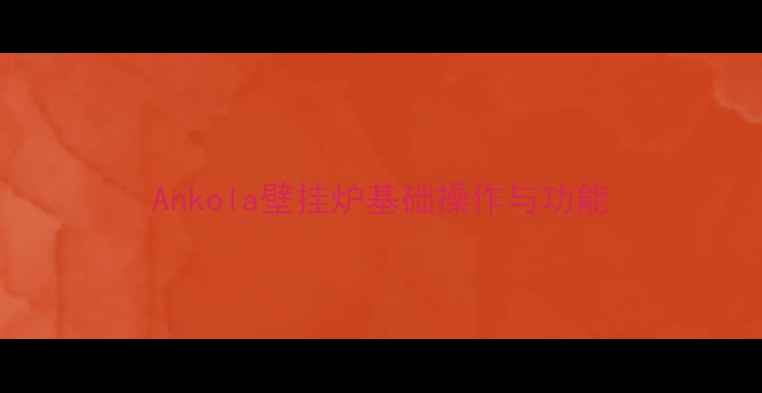 图片 Ankola壁挂炉基础操作与功能