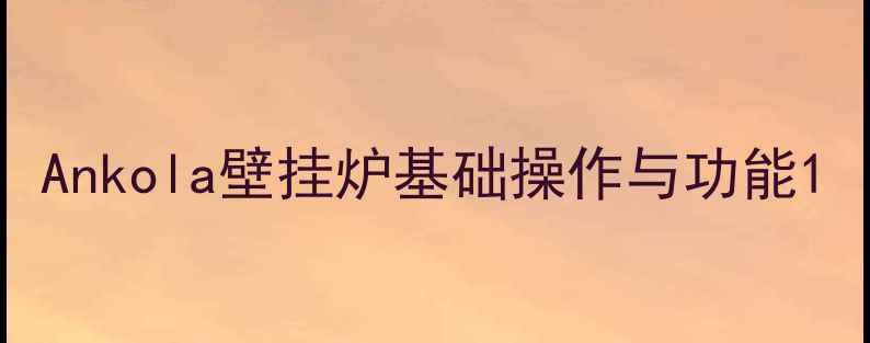 图片 Ankola壁挂炉基础操作与功能1