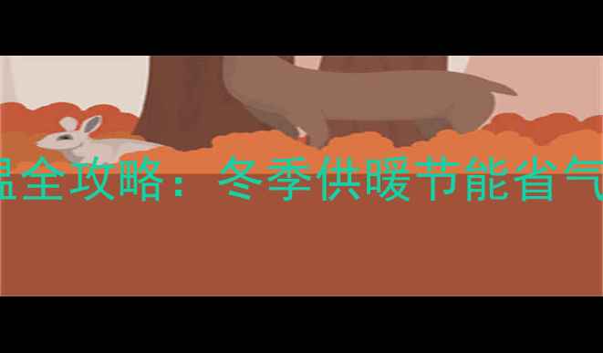 图片 BAXI八喜壁挂炉调温全攻略：冬季供暖节能省气技巧+故障排查指南