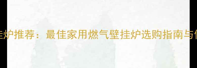 图片 BAXI壁挂炉推荐：最佳家用燃气壁挂炉选购指南与使用攻略