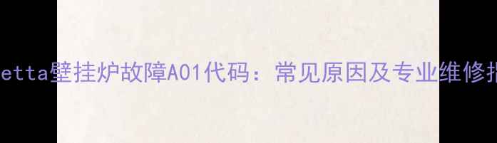 图片 Beretta壁挂炉故障A01代码：常见原因及专业维修指南