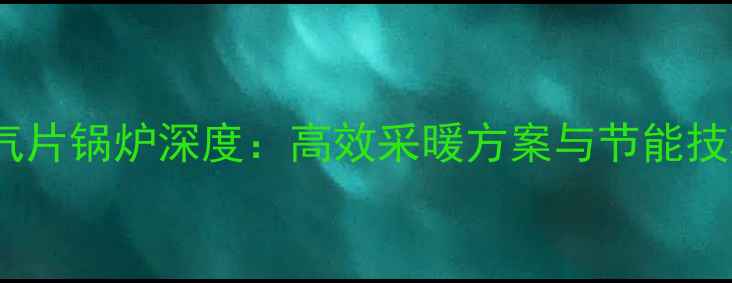 Bosch暖气片锅炉深度高效采暖方案与节能技巧全指南