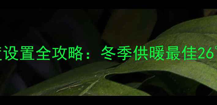 DG壁挂炉采暖温度设置全攻略冬季供暖最佳26节能省气技巧
