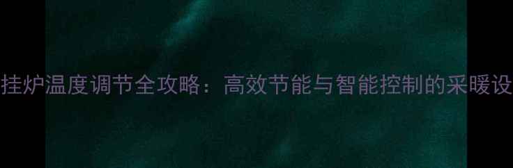 图片 Immergas壁挂炉温度调节全攻略：高效节能与智能控制的采暖设备使用指南
