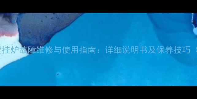 图片 Immergas老式壁挂炉故障维修与使用指南：详细说明书及保养技巧（附视频教程）1