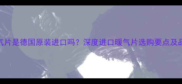 图片 KERMI暖气片是德国原装进口吗？深度进口暖气片选购要点及品牌真相1