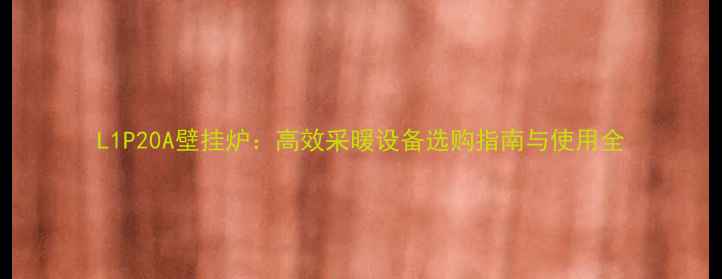 L1P20A壁挂炉高效采暖设备选购指南与使用全