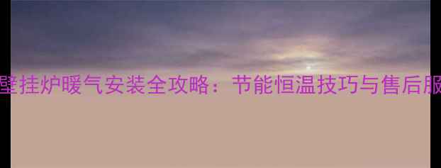 图片 Navien壁挂炉暖气安装全攻略：节能恒温技巧与售后服务指南