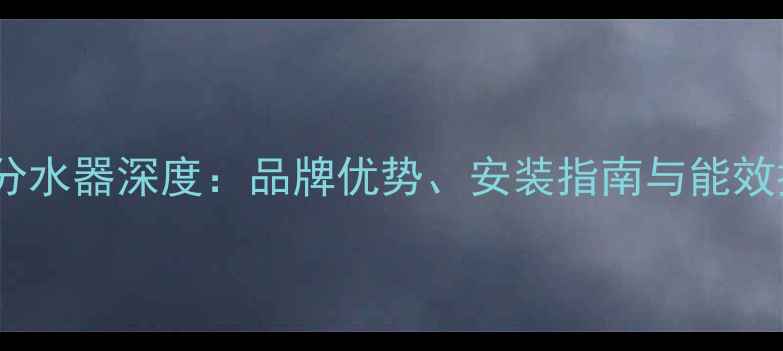 Rheem地暖分水器深度品牌优势安装指南与能效提升全攻略