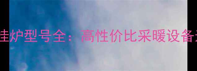 图片 Rinnai壁挂炉型号全：高性价比采暖设备选购指南1