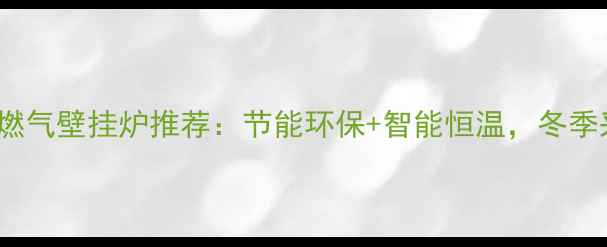 图片 Sime壁挂炉家用燃气壁挂炉推荐：节能环保+智能恒温，冬季采暖安装全指南1