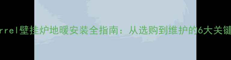 图片 Squirrel壁挂炉地暖安装全指南：从选购到维护的6大关键步骤