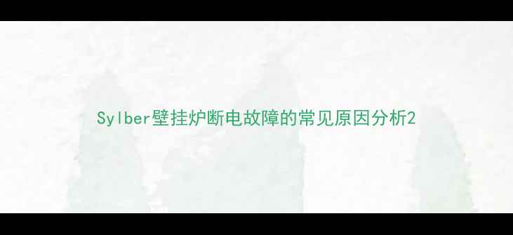 图片 Sylber壁挂炉断电故障的常见原因分析2