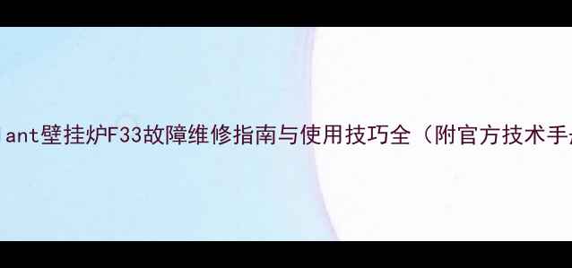 Vaillant壁挂炉F33故障维修指南与使用技巧全附官方技术手册