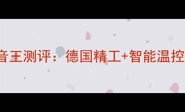 Vaillant壁挂炉JLG静音王测评德国精工智能温控北方家庭采暖新选择
