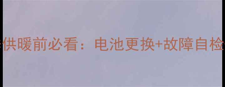 图片 Viessmann壁挂炉冬季供暖前必看：电池更换+故障自检+保养全攻略💔❄️🔧