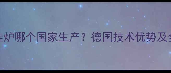 图片 Viessmann壁挂炉哪个国家生产？德国技术优势及全国适用指南1