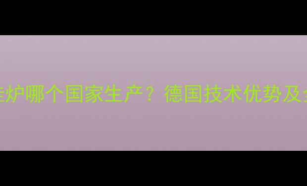 图片 Viessmann壁挂炉哪个国家生产？德国技术优势及全国适用指南2