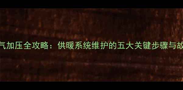 图片 Viessmann暖气加压全攻略：供暖系统维护的五大关键步骤与故障处理指南1