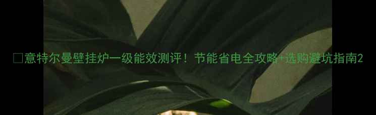 意特尔曼壁挂炉一级能效测评节能省电全攻略选购避坑指南