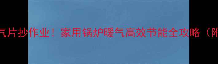 图片 ✨土耳其进口暖气片抄作业！家用锅炉暖气高效节能全攻略（附选购避坑指南）
