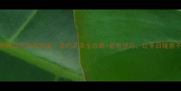 图片 ✨地暖系统如何智能控温？温控开关全攻略+省电技巧，让冬日暖意不费电🔥