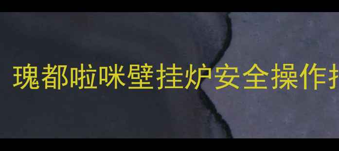 壁挂炉排气全攻略瑰都啦咪壁挂炉安全操作指南附图文教程