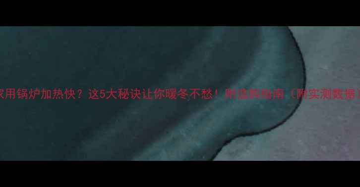 图片 ✨家用锅炉加热快？这5大秘诀让你暖冬不愁！附选购指南（附实测数据）✨