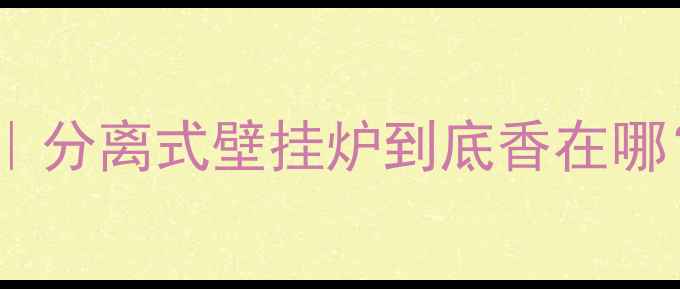 热水采暖新趋势分离式壁挂炉到底香在哪家庭供暖方案全