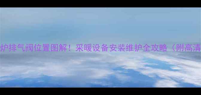 图片 ✨燃气壁挂炉排气阀位置图解！采暖设备安装维护全攻略（附高清示意图）✨