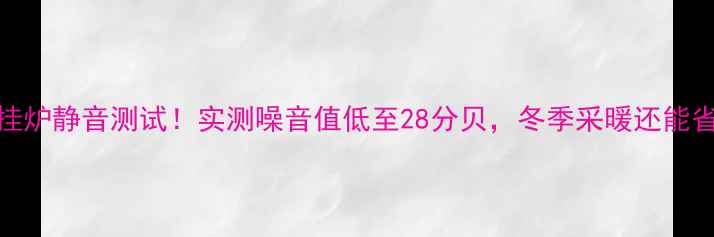 图片 ✨瑞马壁挂炉静音测试！实测噪音值低至28分贝，冬季采暖还能省电费？🔥