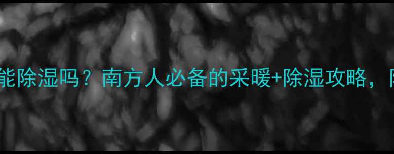 图片 ✨电暖气真的能除湿吗？南方人必备的采暖+除湿攻略，附选购指南🔥2