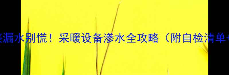 图片 ❄️暖气活接漏水别慌！采暖设备渗水全攻略（附自检清单+维修指南）2