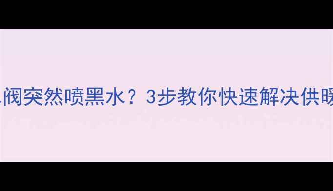 图片 ❗⚠️Bosch壁挂炉补水阀突然喷黑水？3步教你快速解决供暖故障！附专业维修指南