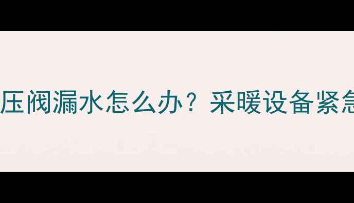 图片 ❶壁挂炉泄压阀漏水怎么办？采暖设备紧急维修指南1