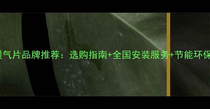 一站式暖气片品牌推荐选购指南全国安装服务节能环保优势全