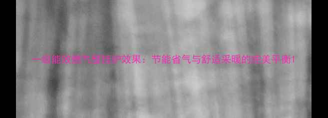 一级能效燃气壁挂炉效果节能省气与舒适采暖的完美平衡