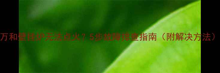 图片 万和壁挂炉无法点火？5步故障排查指南（附解决方法）