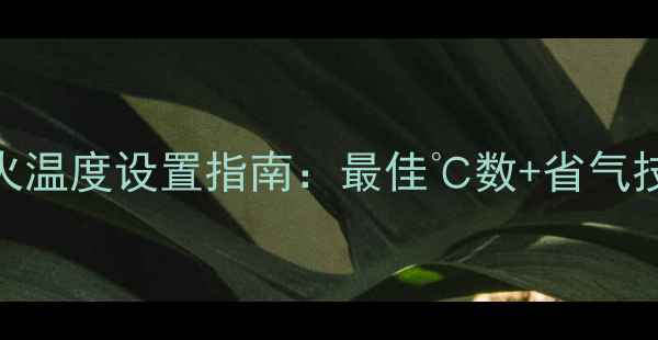 图片 万和壁挂炉自动点火温度设置指南：最佳℃数+省气技巧+安全注意事项2