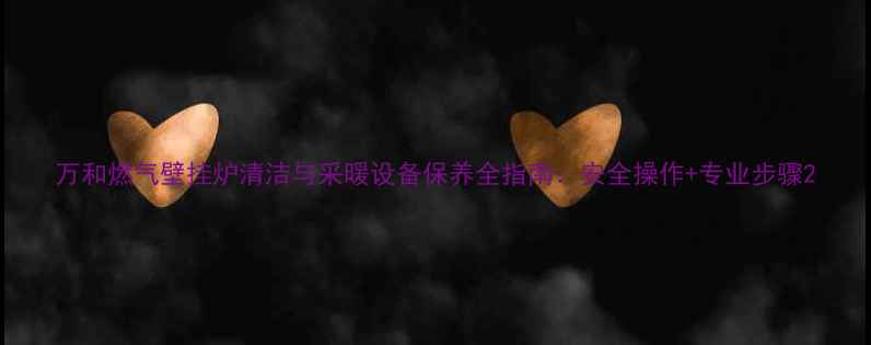 图片 万和燃气壁挂炉清洁与采暖设备保养全指南：安全操作+专业步骤2