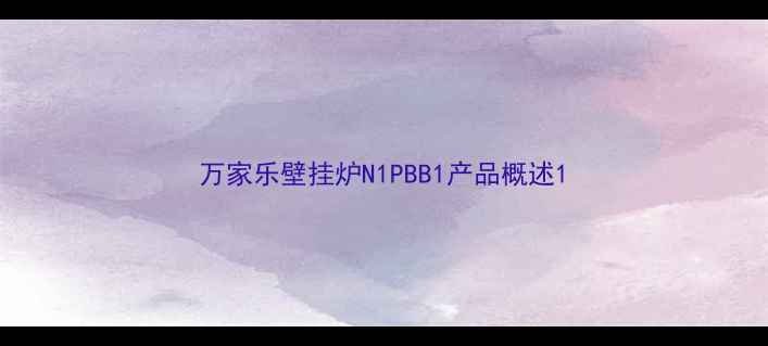 图片 万家乐壁挂炉N1PBB1产品概述1