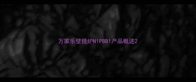 图片 万家乐壁挂炉N1PBB1产品概述2
