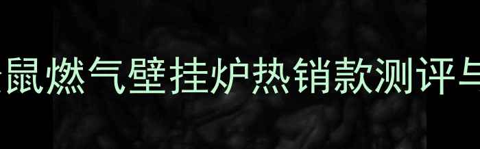 图片 三门峡家庭采暖新选择：小松鼠燃气壁挂炉热销款测评与选购指南（附热效率参数）2
