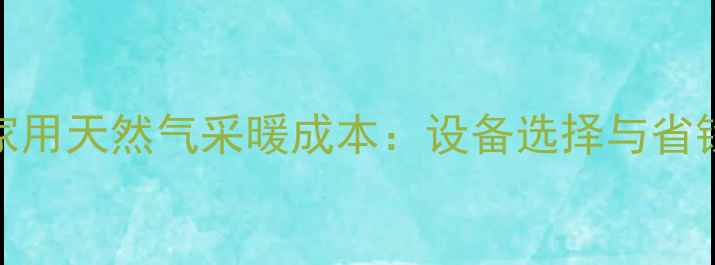 图片 上海家用天然气采暖成本：设备选择与省钱攻略