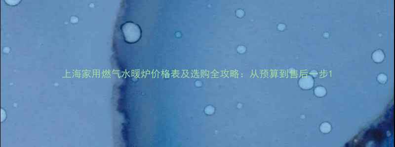 图片 上海家用燃气水暖炉价格表及选购全攻略：从预算到售后一步1
