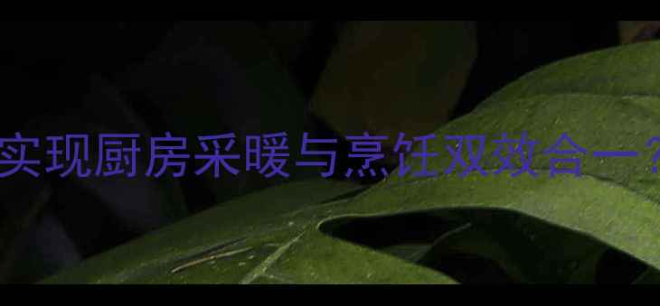 不开壁挂炉如何实现厨房采暖与烹饪双效合一5大替代方案全