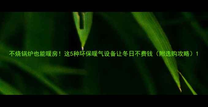 不烧锅炉也能暖房这5种环保暖气设备让冬日不费钱附选购攻略